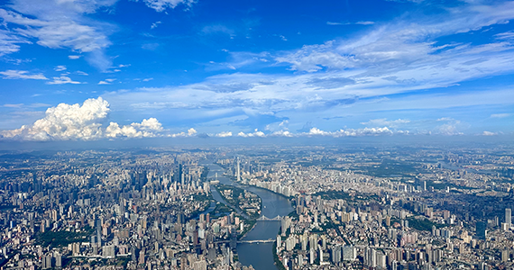 域名批量查询手机app