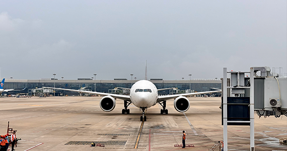 app域名*注册查询