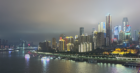 域名信息查询app下载