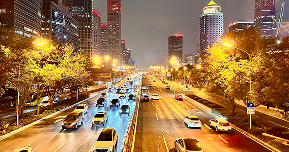 域名查询app手机版